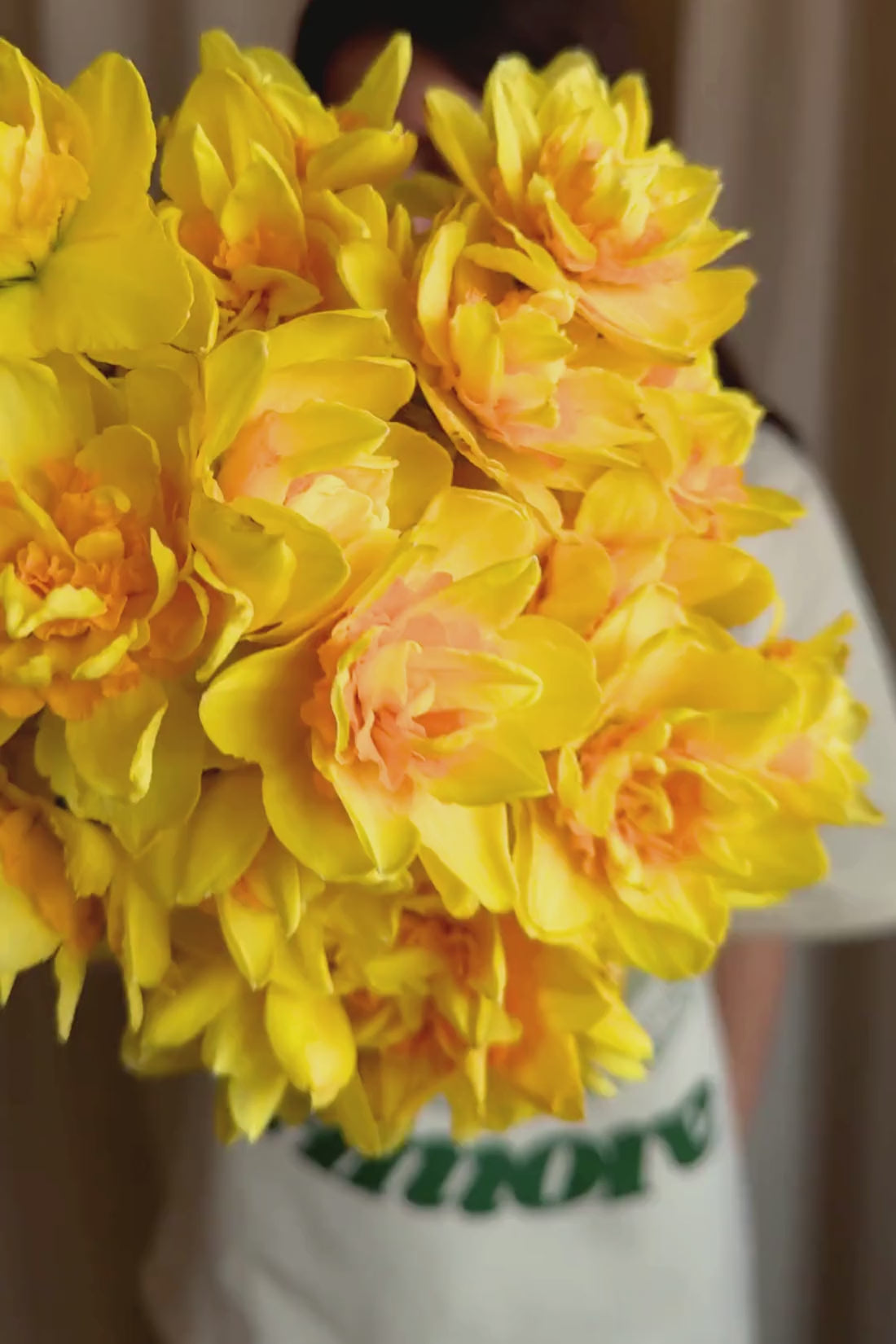 T-SHIRT ŻUREK AMORE - UNISEX