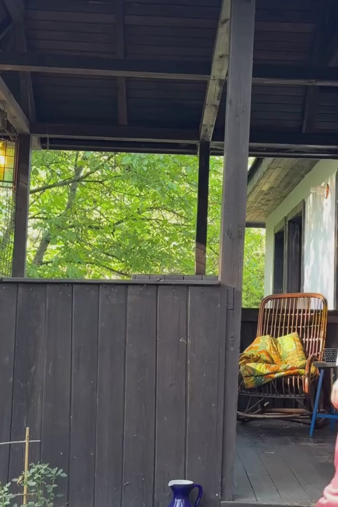 LONGSLEEVE JABŁKO AMORE